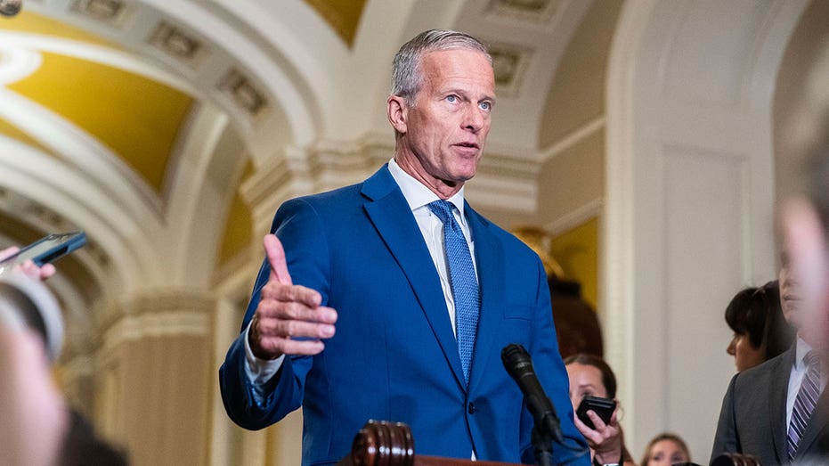 Thune pans Democrats' shutdown stance as 'borderline pathological,' 'like a disease'